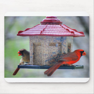 Female and Male Cardinals at Bird Feeder Mousepad