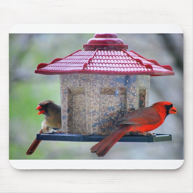 Female and Male Cardinals at Bird Feeder Mousepad (Front)