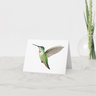 Female Anna's Hummingbird Card