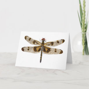 Female Banded Pennant Dragonfly Card