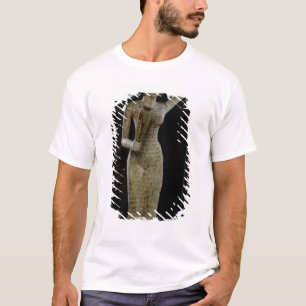 Female bearer of offerings carrying a water T-Shirt