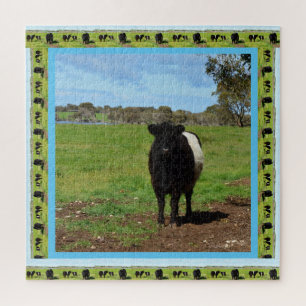 Female Belted Galloway Cow, Jigsaw Puzzle