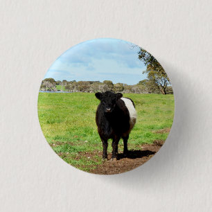 Female Belted Galloway Cow, Key Ring 3 Cm Round Badge