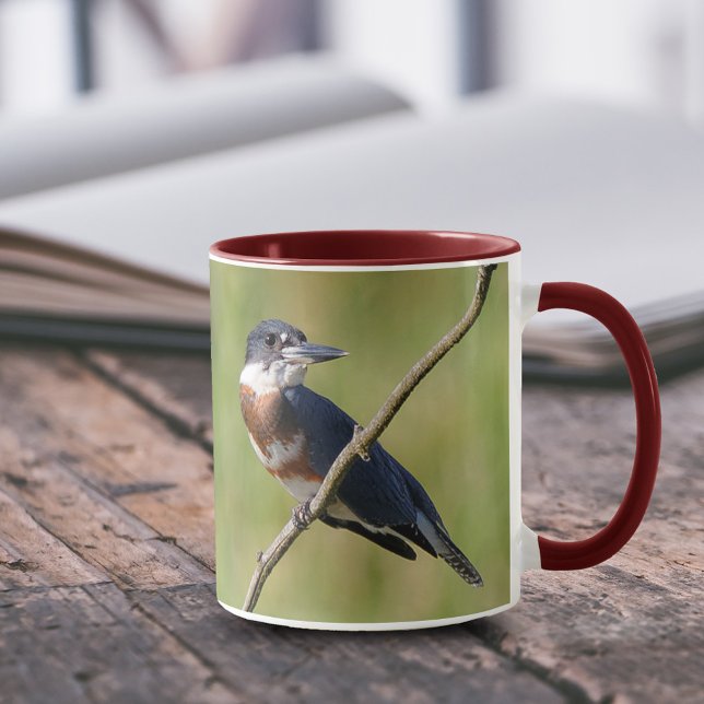 Female Belted Kingfisher Out on a Limb Mug (Femaled Belted Kingfisher on a Branch 11 oz Coffee Mug Cover Photo.)