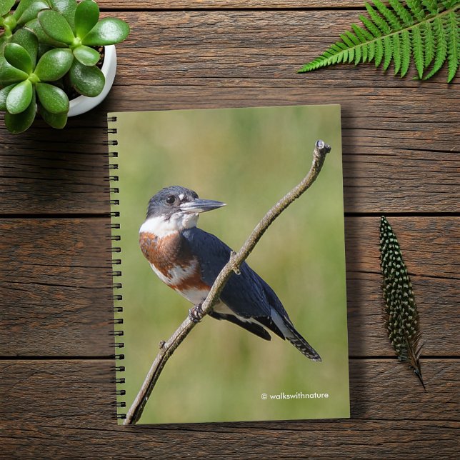 Female Belted Kingfisher Out on a Limb Notebook (Belted Kingfisher on a Limb Journal Cover Photo)
