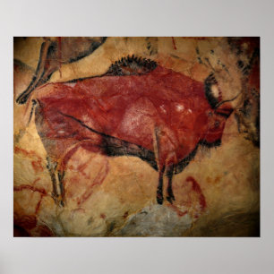 Female bison at Altamira Poster