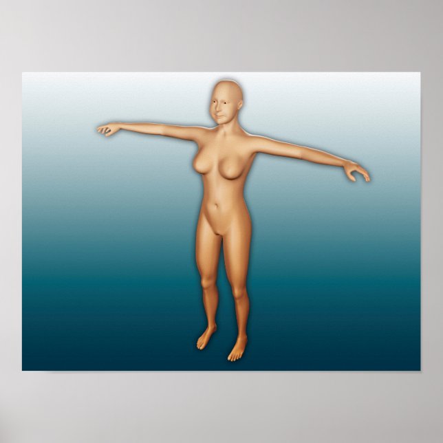 Female Body With Arms Extended Poster (Front)
