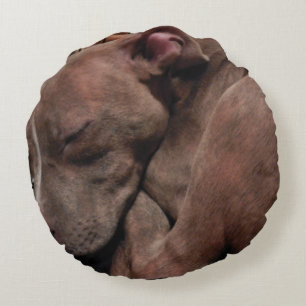 FEMALE BRINDLE PIT BULL pillow
