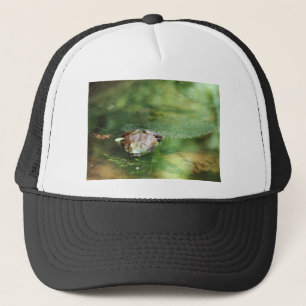 Female Bullfrog Laying Eggs Trucker Hat