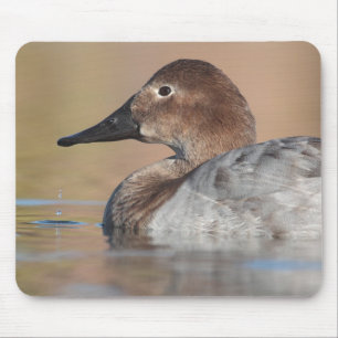 Female Canvasback duck Profile Mouse Pad