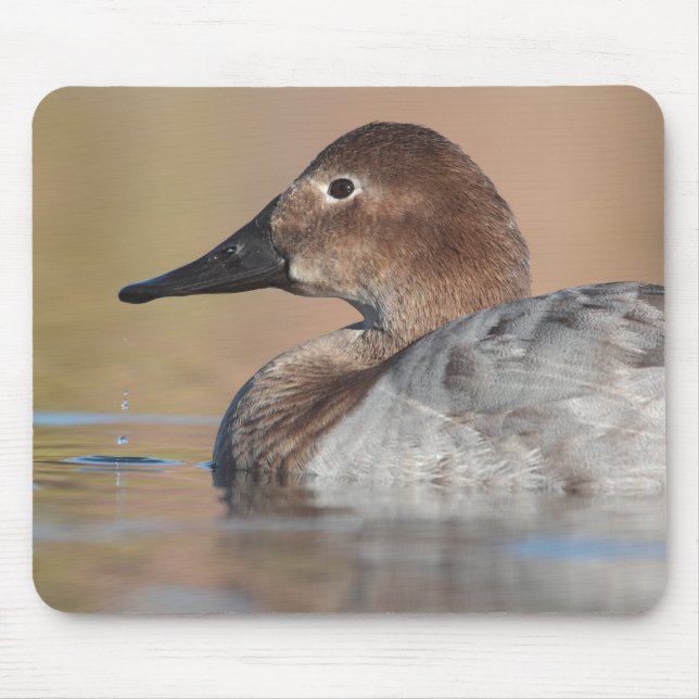 Female Canvasback duck Profile Mouse Pad (Front)