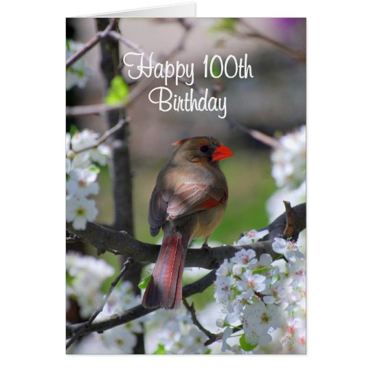 Female Cardinal 100th Birthday Card