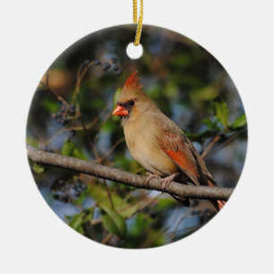 Female Cardinal 4 Ceramic Tree Decoration