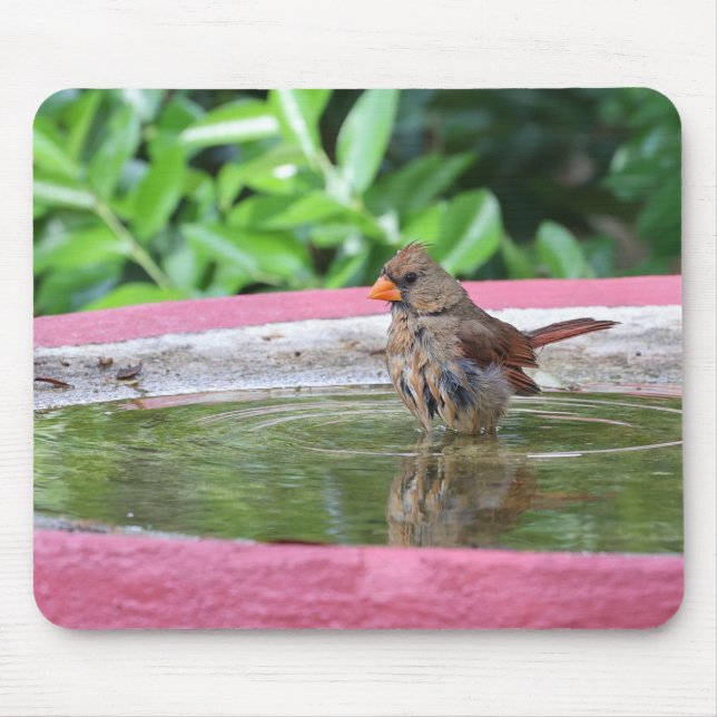 Female Cardinal at Birdbath Mouse Pad (Front)