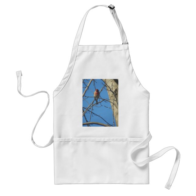 Female Cardinal Bird Standard Apron (Front)