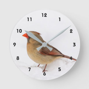 Female Cardinal in the snow Round Clock