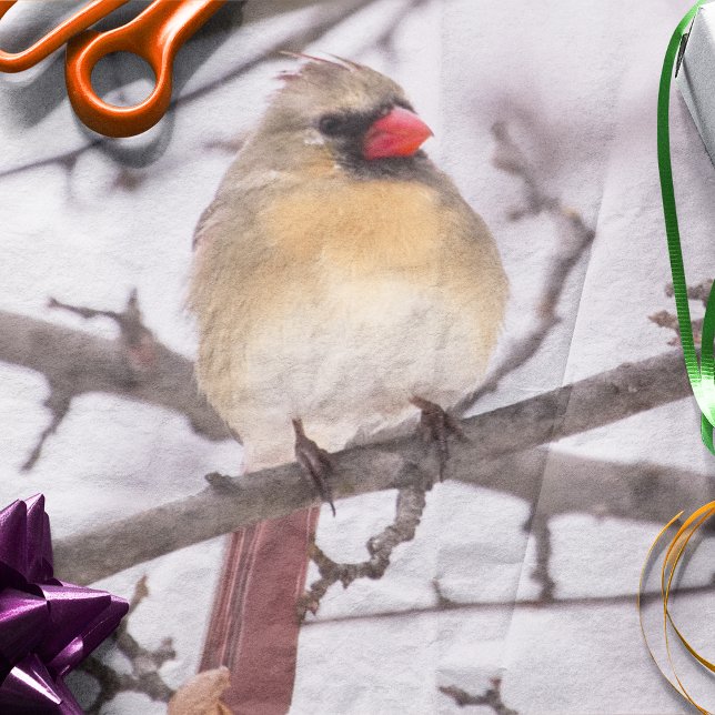 Female Cardinal In Winter Tissue Paper (Creator Uploaded)