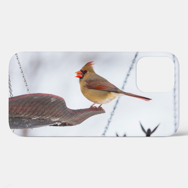 Female Cardinal Lunch Time iPhone Case (Back (Horizontal))