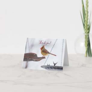 Female Cardinal Lunch Time Thank You Card