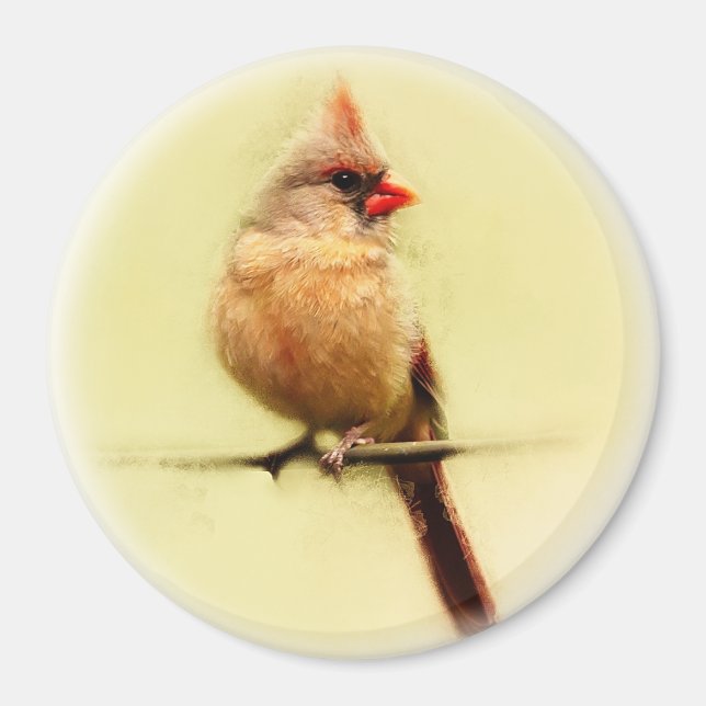 Female Cardinal Songbird Magnet (Front)
