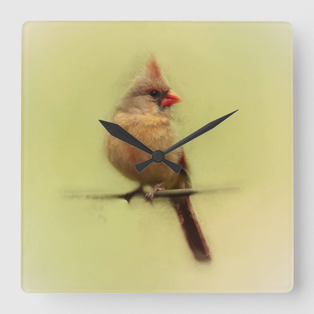 Female Cardinal Songbird Square Wall Clock (Front)