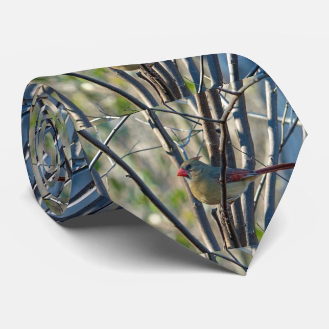 Female Cardinal Tie (Rolled)