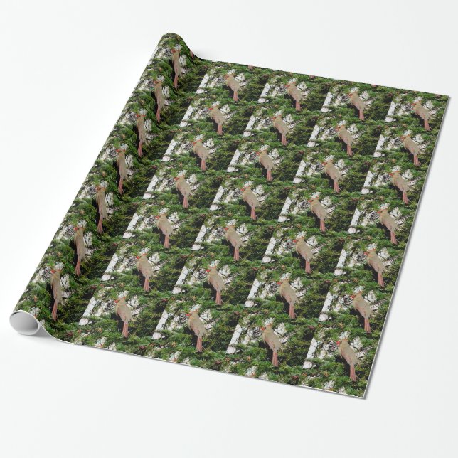 Female Cardinal Wrapping Paper (Unrolled)