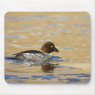 Female common Goldeneye duck Mouse Pad