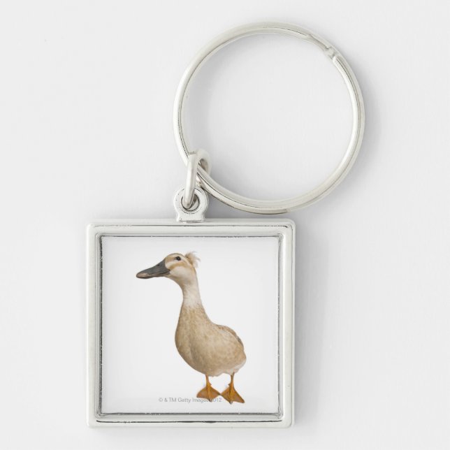 Female Crested Duck, 3 years old Key Ring (Front)