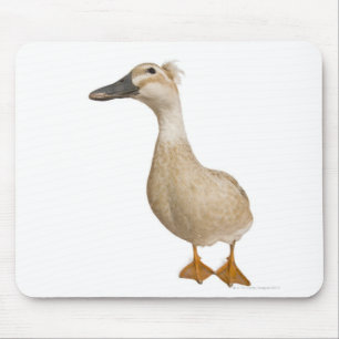Female Crested Duck, 3 years old Mouse Pad