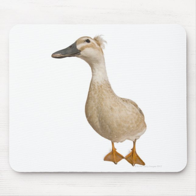 Female Crested Duck, 3 years old Mouse Pad (Front)