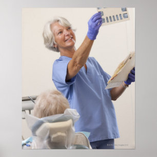 Female dental hygienist examining an X-Ray Poster