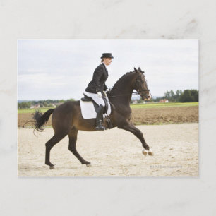 female dressage rider exercising 2 postcard