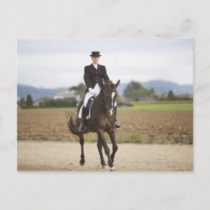 female dressage rider exercising postcard