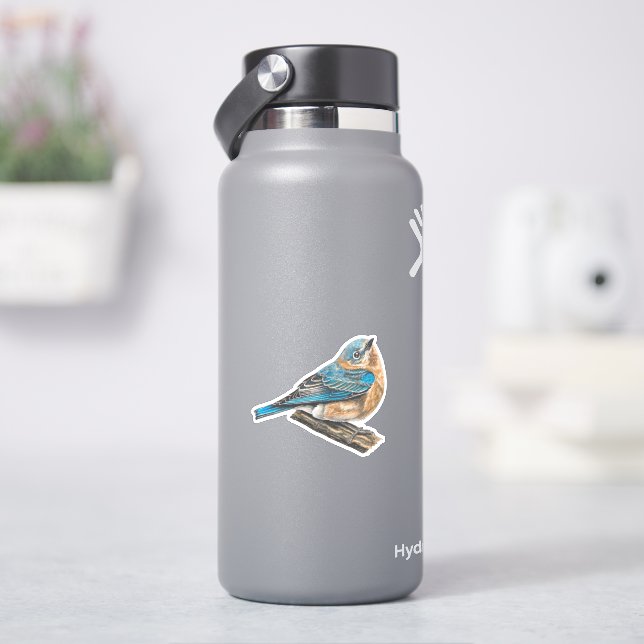 Female Eastern Bluebird Sticker (HydroFlask)