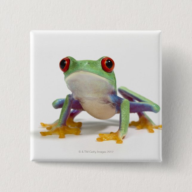 Female frog 2 15 cm square badge (Front)