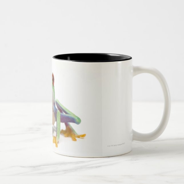 Female frog 2 Two-Tone coffee mug (Right)