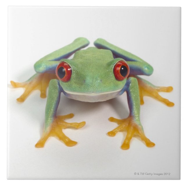 Female frog ceramic tile (Front)