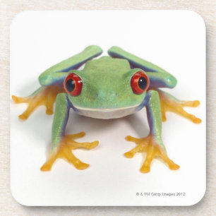Female frog coaster