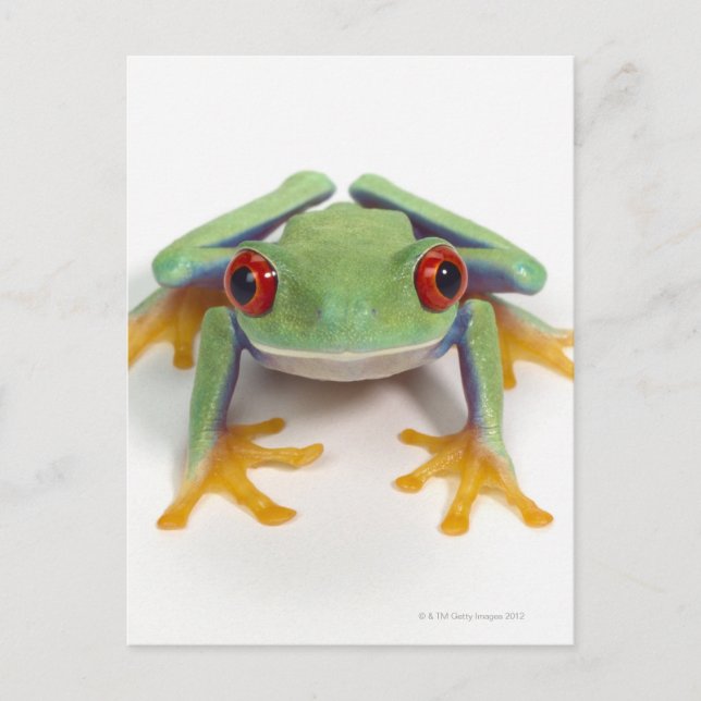 Female frog postcard (Front)