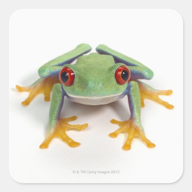 Female frog square sticker (Front)