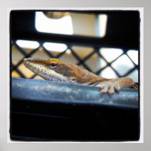 Female Green Anole Lizard Photo Poster