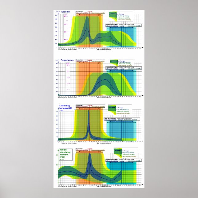 Female Hormone Ranges During the Menstrual Cycle Poster (Front)