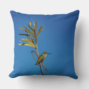 Female Hummingbird Cushion