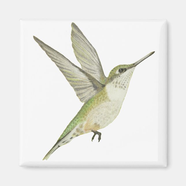 Female Hummingbird Magnet (Front)