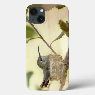 Female hummingbird on her nest iPhone 13 case