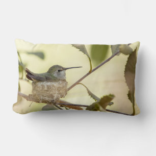 Female hummingbird on her nest lumbar cushion