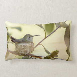 Female hummingbird on her nest lumbar cushion