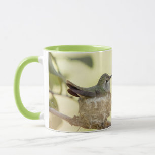 Female hummingbird on her nest mug