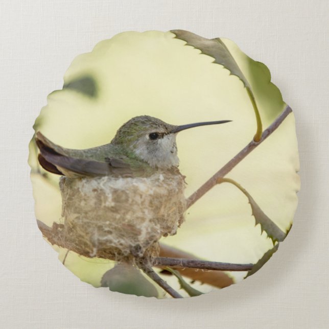 Female hummingbird on her nest round cushion (Front)